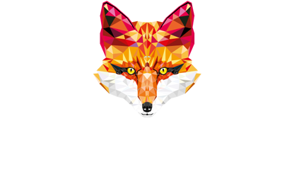 DS MediaGroup Logo